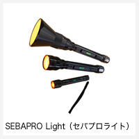 SEBAPRO Light（セバプロライト）